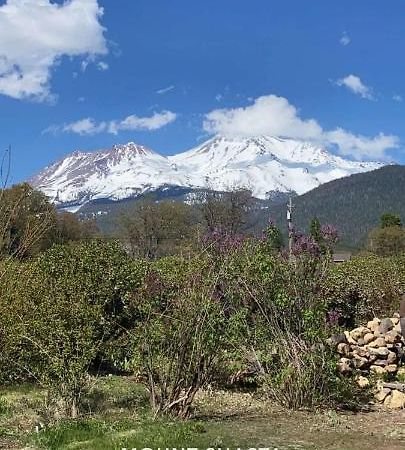 Angel Cottage With A Sauna Or The Cozy With A Jacuzzi Tub, Both Are Studios With A View Of Mount Shasta Luaran gambar