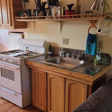Angel Cottage With A Sauna Or The Cozy With A Jacuzzi Tub, Both Are Studios With A View Of Mount Shasta Luaran gambar