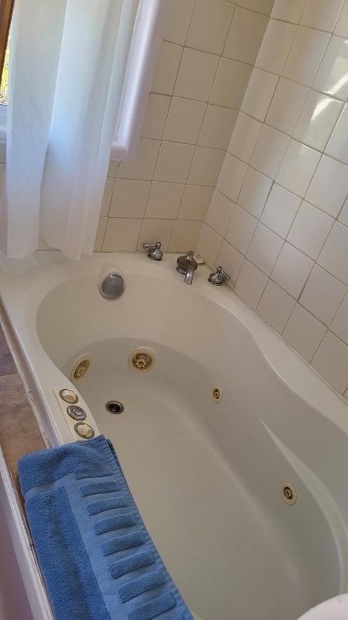 Angel Cottage With A Sauna Or The Cozy With A Jacuzzi Tub, Both Are Studios With A View Of Mount Shasta Luaran gambar
